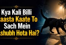 Kya Kali Billi Raasta Kaate To Sach Mein Ashubh Hota Hai