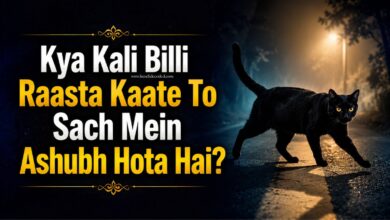 Kya Kali Billi Raasta Kaate To Sach Mein Ashubh Hota Hai